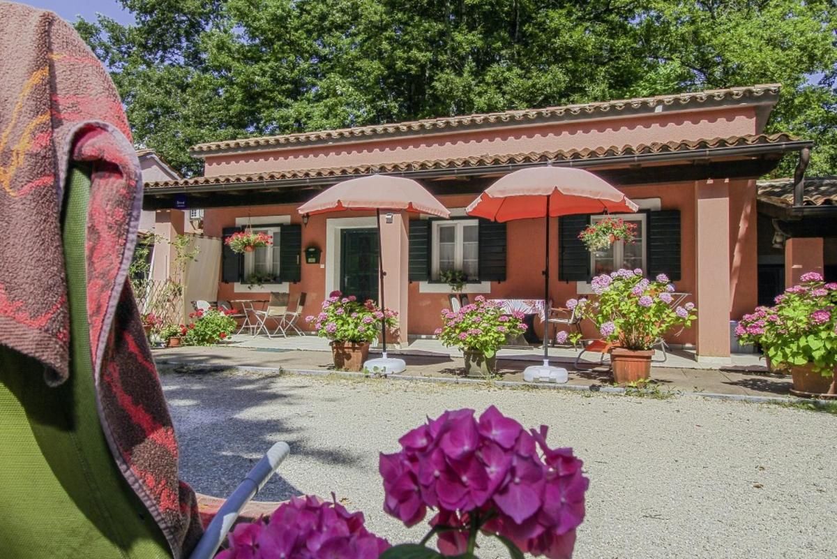 Dalibor In Jakacici - Haus Fuer 2-4 Personen Gracisce Exterior photo